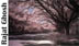 WideWAY
