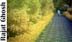 Path2
